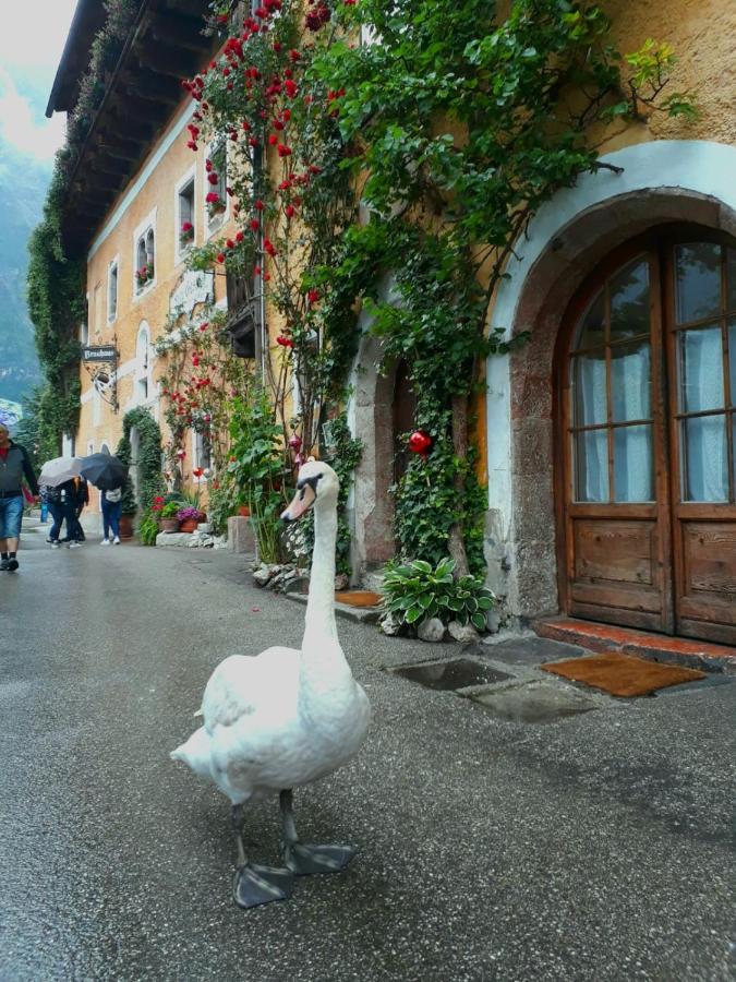 Braeugasthof Hallstatt Exterior foto